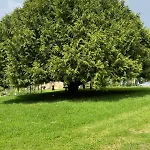 Domaine D'empie Летний дом